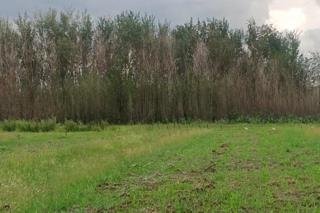 Commercial Property for Sale in Koppies Rural Free State